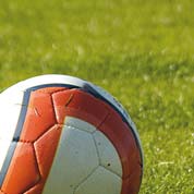 C�sped para campos deportivos - 10kg - 350m2